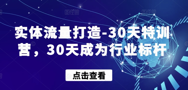 实体流量打造-30天特训营,30天成为行业标杆-柚子网创